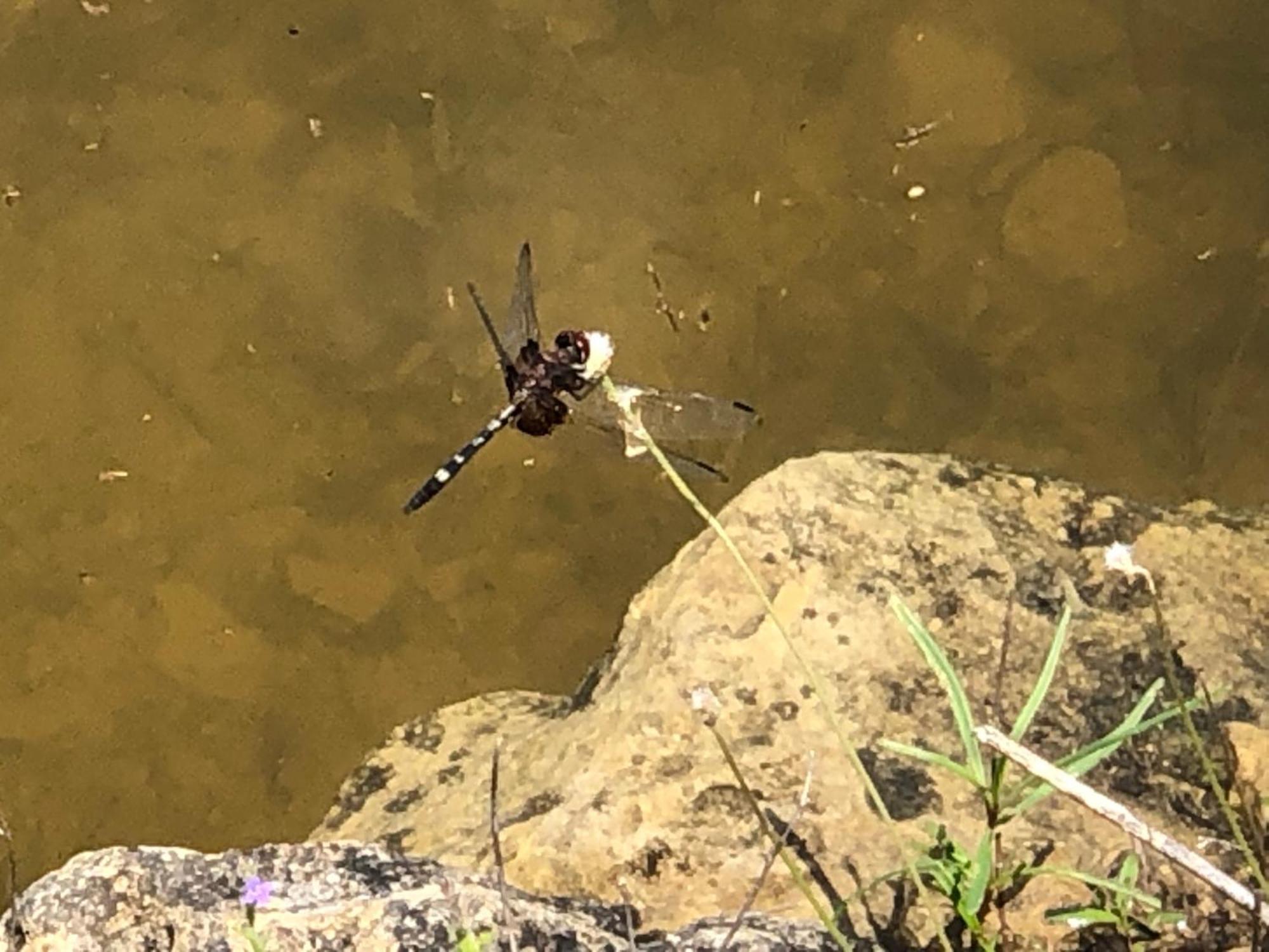 Fishers Of Men Ranch